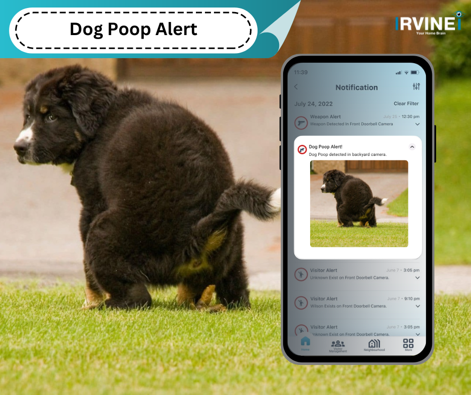 dog poop alert